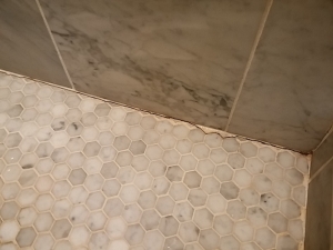 Before Photos of Carrara Marble Bathroom Shower Restoration